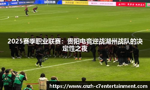 2025赛季职业联赛：贵阳电竞迎战湖州战队的决定性之夜